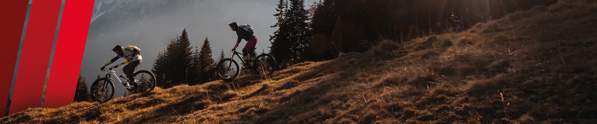 BikeFox AG