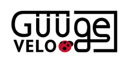 Velo Güüge GmbH logo